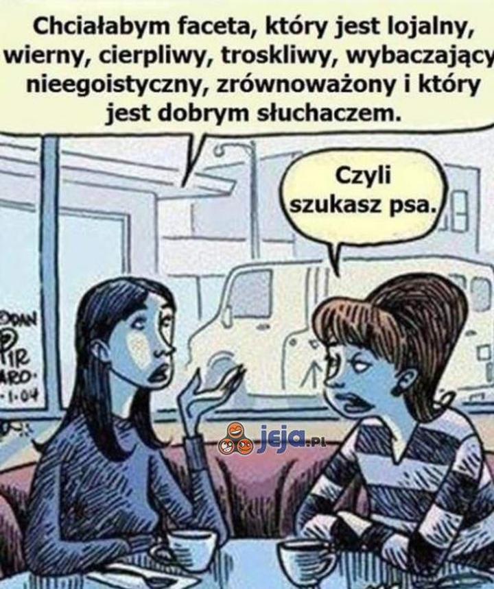 Wspólne pasje i zainteresowania