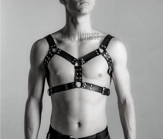 Jak dobrać idealny harness
